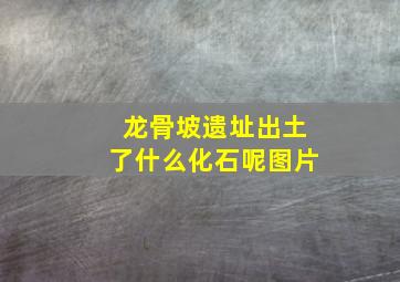 龙骨坡遗址出土了什么化石呢图片